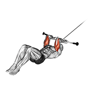 Cable Lying Triceps Extension V. 2 exercise animation