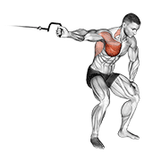 Cable One Arm Lateral Bent-Over exercise animation
