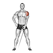 Cable One Arm Lateral Raise exercise animation