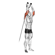 Cable Overhead Triceps Extension (rope Attachment) exercise animation