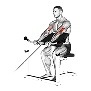 Cable Preacher Curl exercise animation