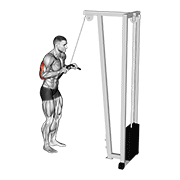 Cable Pushdown exercise animation