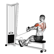 Cable Rear Delt Row (stirrups) exercise animation