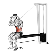 Cable Seated Crunch exercise animation