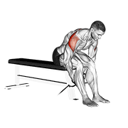 Cable Seated Rear Lateral Raise form demonstration - targeted for Delts Shoulders workouts
