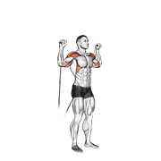 Cable Shoulder Press form demonstration - targeted for Delts Shoulders workouts