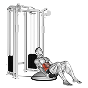 Cable Side Bend Crunch (bosu Ball) exercise animation