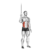 Cable Side Crunch exercise animation