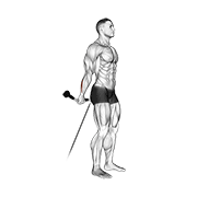 Cable Standing Back Wrist Curl exercise animation