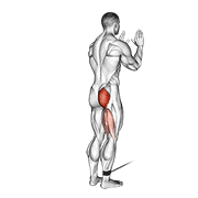 Cable Standing Hip Extension exercise animation