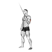 Cable Standing One Arm Triceps Extension form demonstration - targeted for Triceps Upper Arms workouts