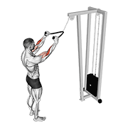 Cable Standing Pulldown (with Rope) exercise animation