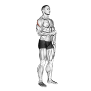Cable Standing Shoulder External Rotation exercise animation