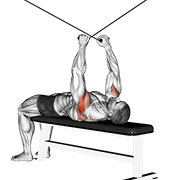 Cable Supine Reverse Fly form demonstration - targeted for Delts Shoulders workouts