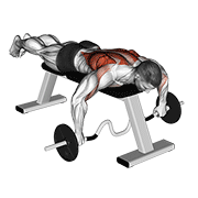 Cambered Bar Lying Row exercise animation
