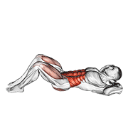 Cross Body Crunch form demonstration - targeted for Abs Waist workouts