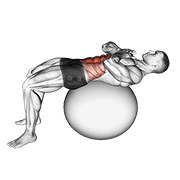 Crunch (on Stability Ball) exercise animation