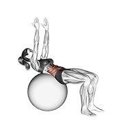 Crunch (on Stability Ball, Arms Straight) form demonstration - targeted for Abs Waist workouts