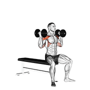 Dumbbell Arnold Press V. 2 exercise animation