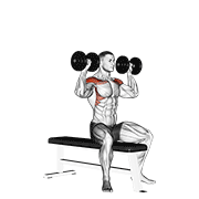 Dumbbell Bench Seated Press exercise animation