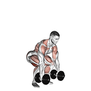 Dumbbell Clean exercise animation