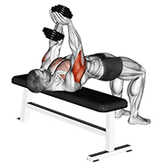 Dumbbell Close-Grip Press form demonstration - targeted for Triceps Upper Arms workouts