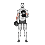 Dumbbell Cross Body Hammer Curl exercise animation