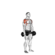 Dumbbell Cuban Press exercise animation