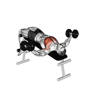 Dumbbell Decline Fly exercise animation