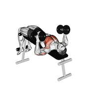 Dumbbell Decline Hammer Press exercise animation