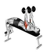 Dumbbell Decline Triceps Extension exercise animation