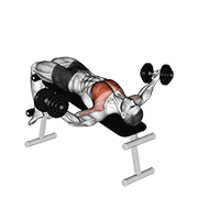 Dumbbell Decline Twist Fly exercise animation