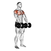 Dumbbell Front Raise exercise animation