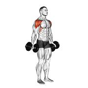 Dumbbell Full Can Lateral Raise form demonstration - targeted for Delts Shoulders workouts