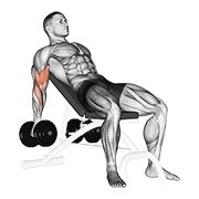 Dumbbell Incline Biceps Curl exercise animation