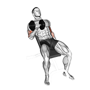 Dumbbell Incline Curl exercise animation