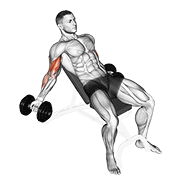 Dumbbell Incline Inner Biceps Curl form demonstration - targeted for Biceps Upper Arms workouts