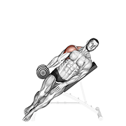 Dumbbell Incline One Arm Lateral Raise form demonstration - targeted for Delts Shoulders workouts