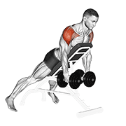 Dumbbell Incline Rear Lateral Raise exercise animation