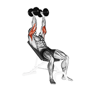 Dumbbell Incline Triceps Extension exercise animation
