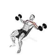 Dumbbell Incline Twisted Flyes exercise animation