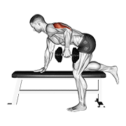 Dumbbell Kickback exercise animation