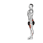 Dumbbell Lunge exercise animation