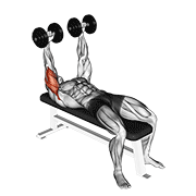 Dumbbell Lying Extension (across Face) exercise animation