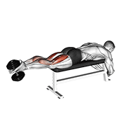 Dumbbell Lying Femoral form demonstration - targeted for Hamstrings Upper Legs workouts
