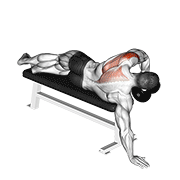 Dumbbell Lying One Arm Deltoid Rear form demonstration - targeted for Delts Shoulders workouts