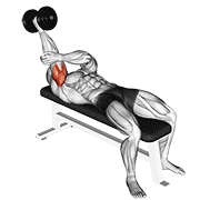 Dumbbell Lying One Arm Supinated Triceps Extension form demonstration - targeted for Triceps Upper Arms workouts