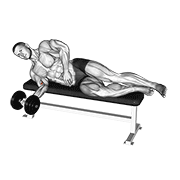 Dumbbell Lying Pronation exercise animation