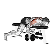Dumbbell Lying Rear Lateral Raise exercise animation