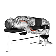 Dumbbell Lying Supine Curl exercise animation
